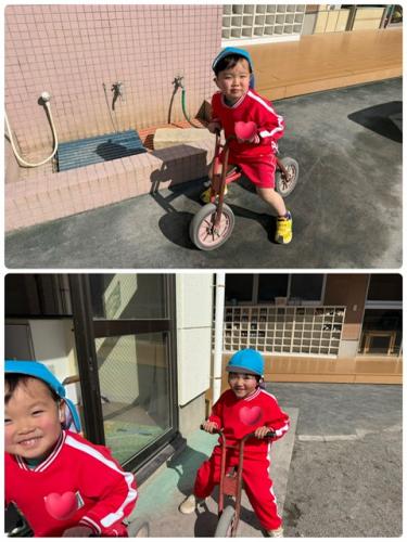 久々の気まぐれフォト*^^*