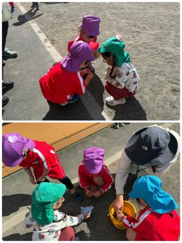 気まぐれフォト*^^*