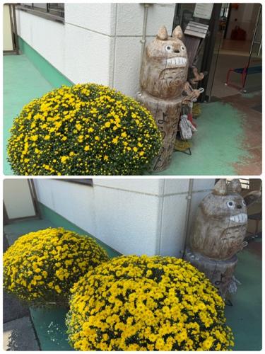 写真館へようこそ~*(笑)
