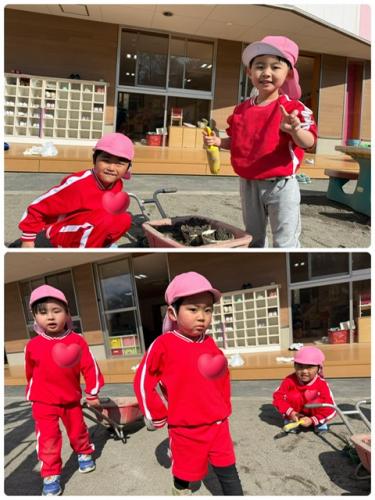 久々の気まぐれフォト*^^*